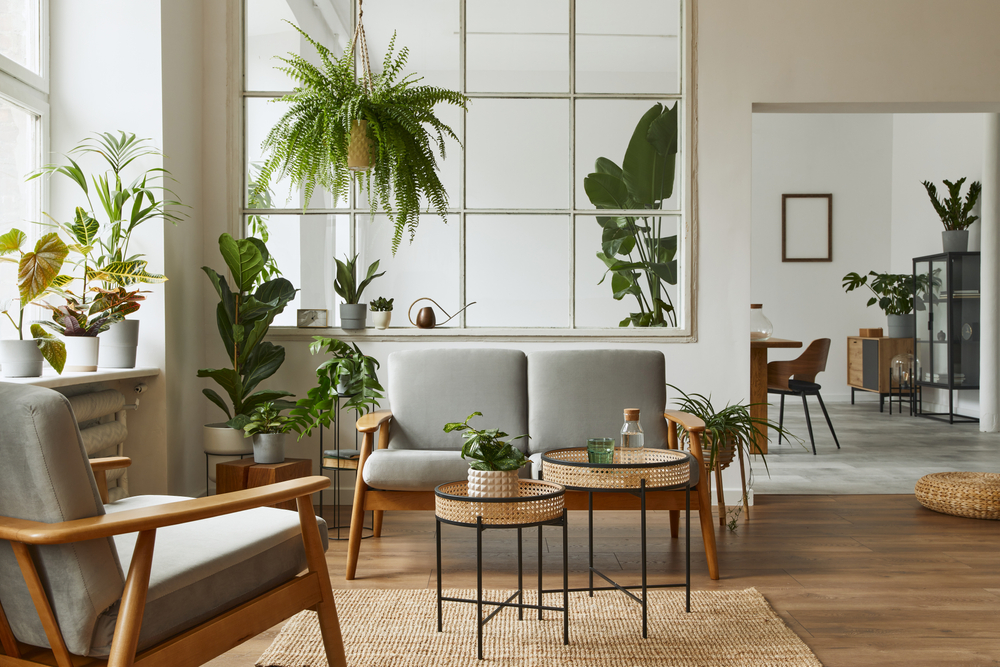 how to arrange plants in small living room